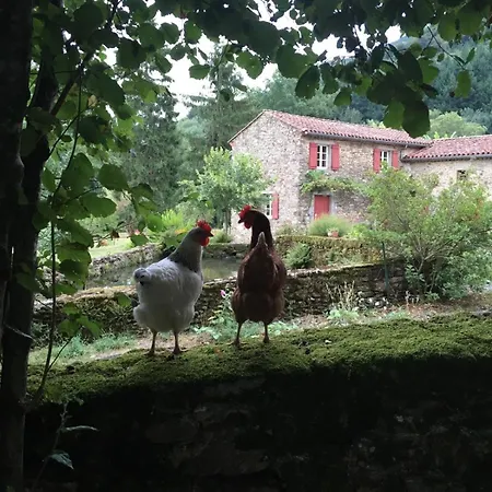 Le Refuge De Bruno * Saint-Amans-Soult