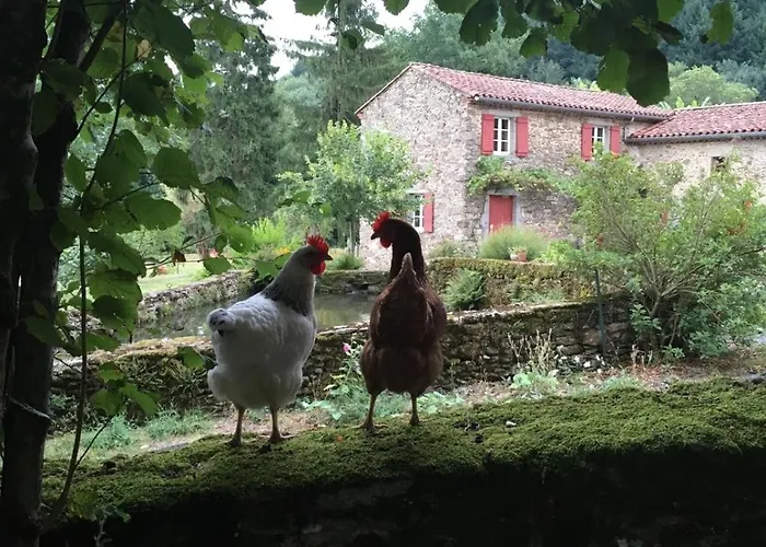 Le Refuge De Bruno * Saint-Amans-Soult
